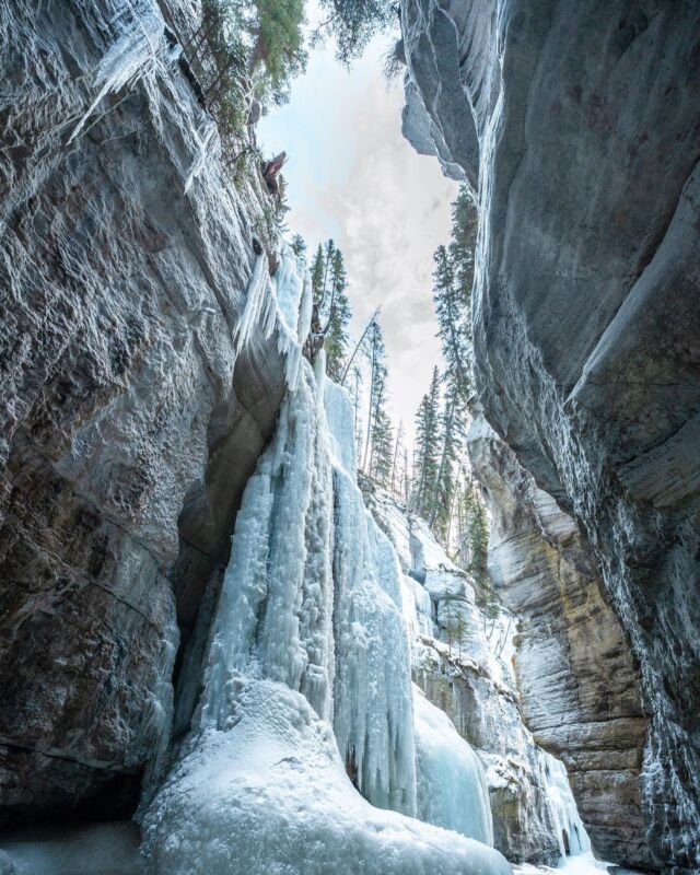 Een tijdje terug ging ik (Kaz) naar de Maligne Canyon in Jasper National Park. En wat een toffe plaatjes konden we hier schieten zeg!

🚗 Op tien minuten rijden van Jasper ligt de Maligne Canyon.
🚶Wandelen kun je onder andere over de Canyon Ice Walk
☀️ In de zomer geniet je van prachtige watervallen

In de zomer is dit hét gebied om te genieten van spectaculaire watervallen, maar zo in de winter waren ze extra speciaal. Namelijk helemaal bevroren! Onder begeleiding van een gids gingen we het avontuur aan en keken we onze ogen uit.

Ben jij wel eens in de Canadese Rockies geweest?

#jaspernationalpark #theoutdoors #thehike #thegreatoutdoors