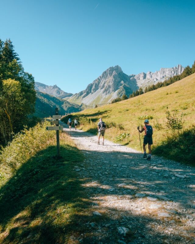 Ben jij ook al langzaam een hike aan het plannen voor de zomer? Wij vinden het altijd heerlijk om alvast te struinen tussen alle opties en hebben onze zeven favorieten op een rijtje gezet! 

🏔️Tour du Mont Blanc (op de foto)
🗻Alta Via 1
🍃Kings Trail
🥾GR20 Corsica
🌋Hot Spring Route Island
🌥️Walkers Haute Route
🐏West Highland Way

Welke route heb jij op de planning dit jaar? In ons artikel vertellen we je meer over onze favorieten: https://www.thehike.nl/prachtige-hikeroutes-in-europa/

Wij zijn benieuwd!

📷 @willemijn.louws