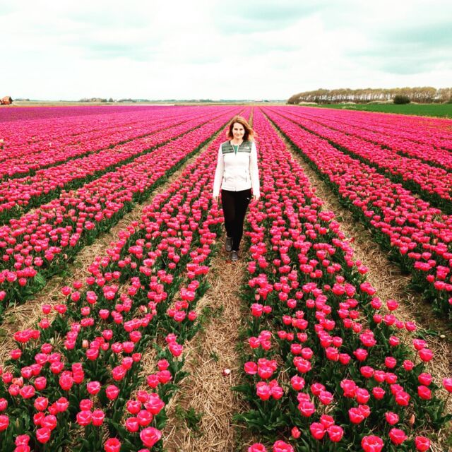 Het tulpenseizoen is in volle gang en daar worden wij heel blij van. Jij ook?

Delen van het Nederlandse landschap kleuren deze weken roze, rood, geel, oranje en allerlei andere kleuren van de regenboog. Je kunt natuurlijk naar de Keukenhof om prachtige plaatjes te schieten, maar ook in bijvoorbeeld de Bollenstreek, Noordoostpolder en op Goeree-Overflakkee is het genieten geblazen. Dit plaatje is trouwens geschoten op Texel, want ook daar vind je de mooiste tulpenvelden. 

Waar in Nederland ga komende dagen op pad? Of ben je al op pad geweest?

(P.s. Het klinkt misschien vanzelfsprekend, maar tulpen plukken, kapot trappen of zomaar door een weiland lopen is niet de bedoeling. Deze wandeling door het tulpenveld is gemaakt in overleg met de boer.)

#theoutdoors #thegreatoutdoors #outdoorlovers #responsible-travel
