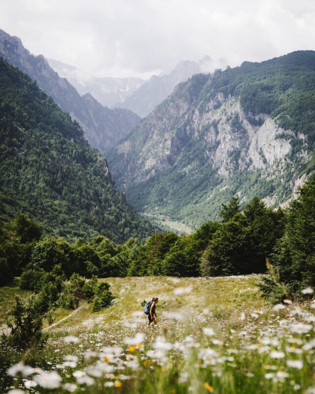 De Balkan trail, voor de doorgewinterde hike liefhebber een trail die je de laatste jaren ineens veel voorbij ziet komen🌿

Wij waren dus ook reuze benieuwd naar deze relatief ‘nieuwe’ parel van een route. ⛰️ 

@_lindarichter ging voor ons op pad met @thebalkantrail en maakte deze prachtige plaatjes. 

Benieuwd naar haar ervaring en het hele verhaal? Lees dan nu het artikel via de link in bio 🙌