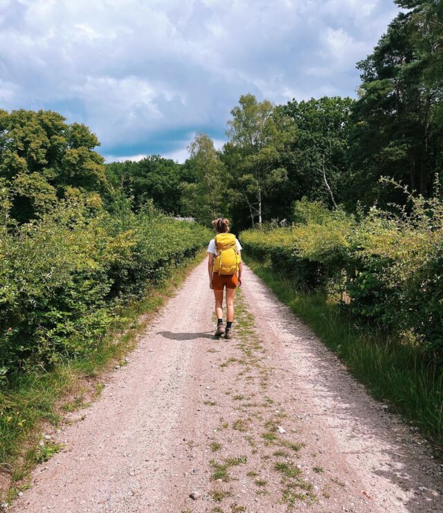 NS-wandeling, bij ons een favoriet! Je stapt zo de trein in en bij de trail eruit, en aan het eind van de wandeling pak je gemakkelijk de trein weer terug. 
Tip: sla deze post op voor je volgende wandelinspiratie 😍

Onze favoriete NS wandelingen: 
#1 Utrechtse heuvelrug 
🚂 van Driebergen Zeist naar Maarn
🌳 Bossen en zand vlaktes
📷 (foto hierboven) 

#2 Wandeling door de Kennemerduinen
🚂 Santpoort Noord naar Overveen
🏝️ Duinen en bos

#3 Valkenburg aan de Geul
⛰️ Heuvels, bossen en dorpjes
🚂 Maastricht naar Valkenburg

#4 NS wandeling in Drenthe
🚂 Ronde vanuit Assen 
🌲 Bos, weilanden en hunebedden

#5 Wezepsche Heide 
🚂 Wezep naar Zwolle 
💧Heide, bos, water en de stad 

Benieuwd hoe het werkt? Je leest het nu in het artikel op Thehike.nl, met uitgebreide uitleg van onze favoriete routes 🙌

Wat is jouw favoriete wandeling die wij nog niet kennen? 

📷 @willemijn.louws