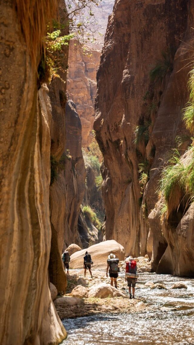 Jordanië bestaat voor meer dan 70% uit woestijn. Als je door het land reist, of de Jordan Trail loopt, dan zie je dus vooral veel rotsen, zand en droogte. Toch is er ook een andere kant. In het noorden vind je bijvoorbeeld een groener deel van het land, maar ook in de woestijn kom je soms aangename verrassingen tegen. Een verrassing zoals Wadi Hasa. Denk aan een tweedaagse trekking dwars door het water, omringd door groen en rood. Een fantastische ervaring en een aanrader voor iedereen die in de zomer naar Jordanië gaat. Ik neem je hierbij in een notendop mee op mijn avontuur in Wadi Hasa. Voor de uitgebreide versie: check het artikel via de link in bio.

#wadihasa #visitjordan #thegreatoutdoors #outdoorlovers #theoutdoors